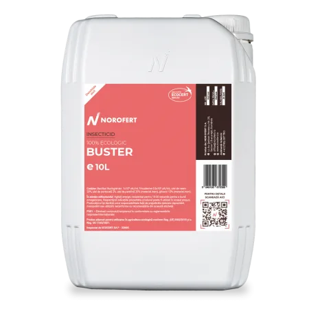 Buster