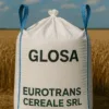 Glosa