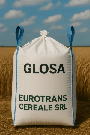 Glosa
