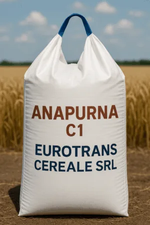 ANAPURNA C1