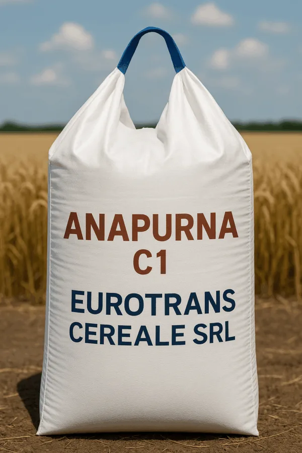 ANAPURNA C1