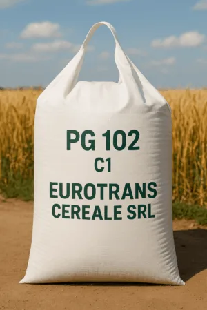 PG 102 C1