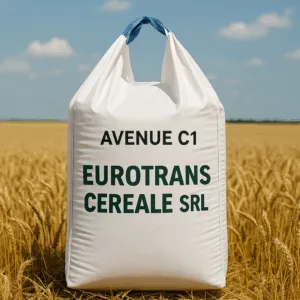 AVENUE C1