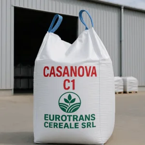 CASANOVA C1