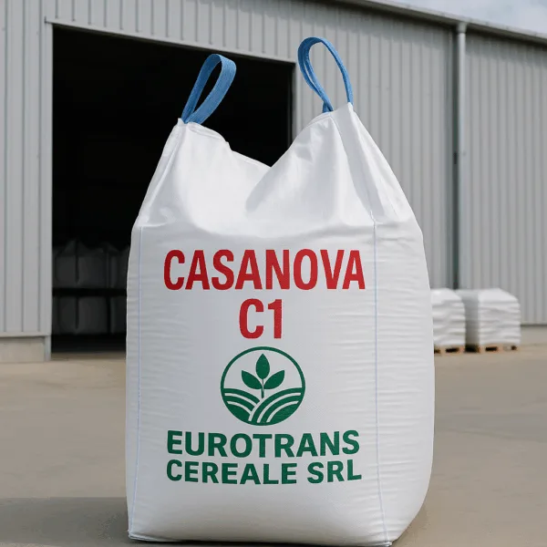 CASANOVA C1