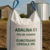 ADALINA C1