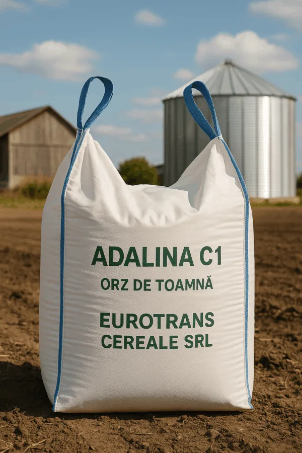ADALINA C1