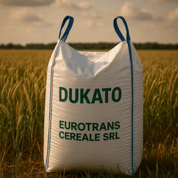 DUKATO C1