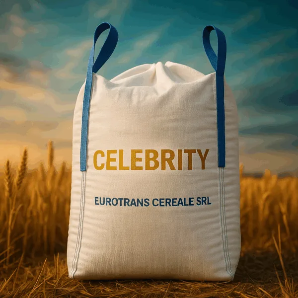 CELEBRITY C1