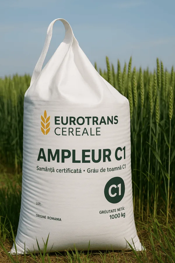 AMPLEUR C1
